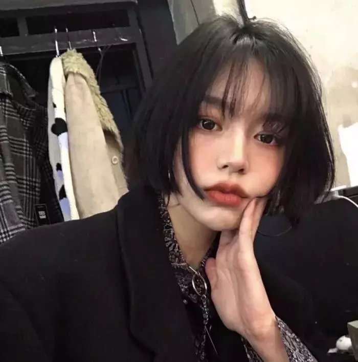 猫小姐寻真爱